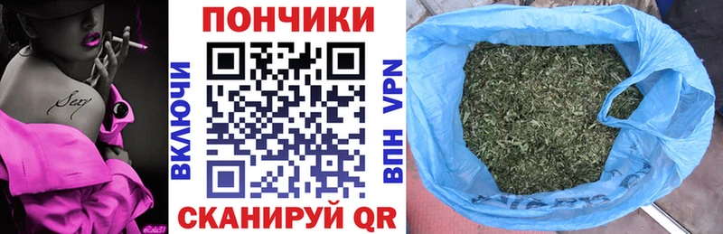 Бошки Шишки семена Купить закладки Рыбное